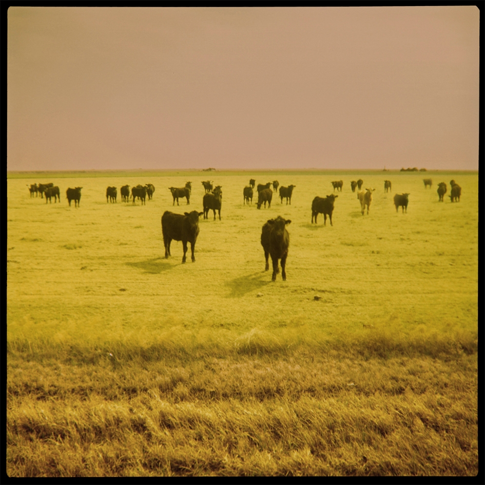 Breakfast in the Prairie, Eldorado, Oklahoma, 2010