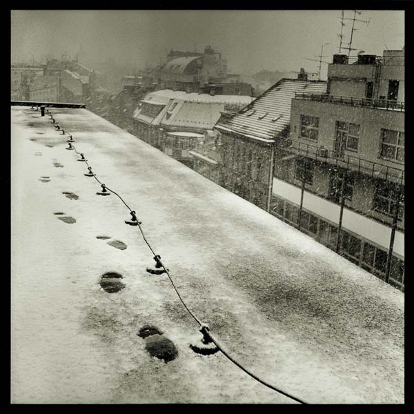 Who Will Be Forgotten, Brno, Czech Republic, 2000